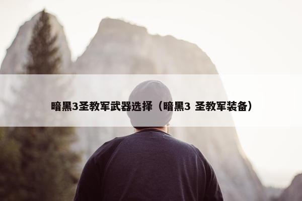 暗黑3圣教军武器选择（暗黑3 圣教军装备）