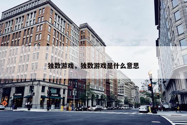 独数游戏，独数游戏是什么意思