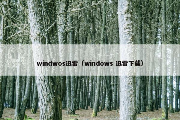 windwos迅雷（windows 迅雷下载）