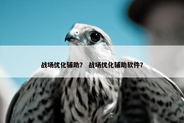 战场优化辅助？ 战场优化辅助软件？