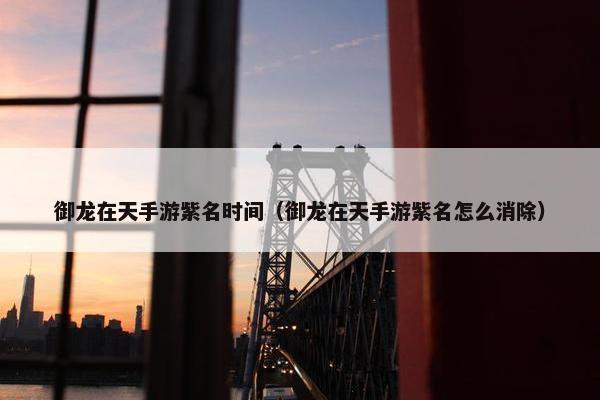 御龙在天手游紫名时间（御龙在天手游紫名怎么消除）