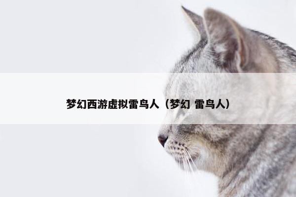 梦幻西游虚拟雷鸟人（梦幻 雷鸟人）