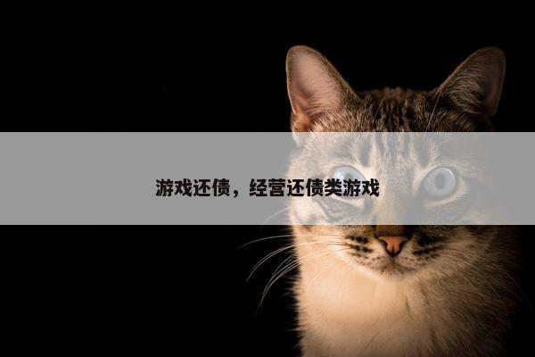 游戏还债，经营还债类游戏