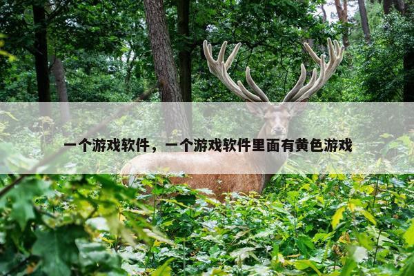 一个游戏软件，一个游戏软件里面有黄色游戏