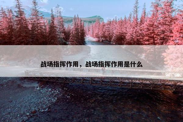 战场指挥作用，战场指挥作用是什么