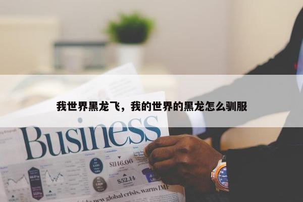 我世界黑龙飞，我的世界的黑龙怎么驯服