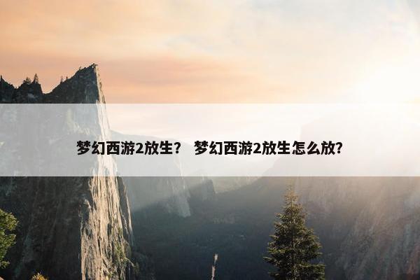 梦幻西游2放生？ 梦幻西游2放生怎么放？