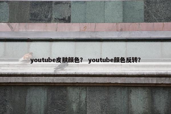 youtube皮肤颜色？ youtube颜色反转？