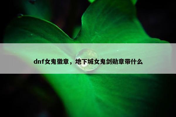 dnf女鬼徽章，地下城女鬼剑勋章带什么
