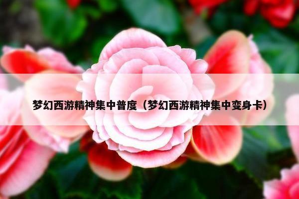 梦幻西游精神集中普度（梦幻西游精神集中变身卡）