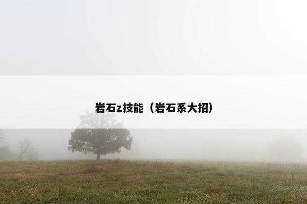 岩石z技能（岩石系大招）