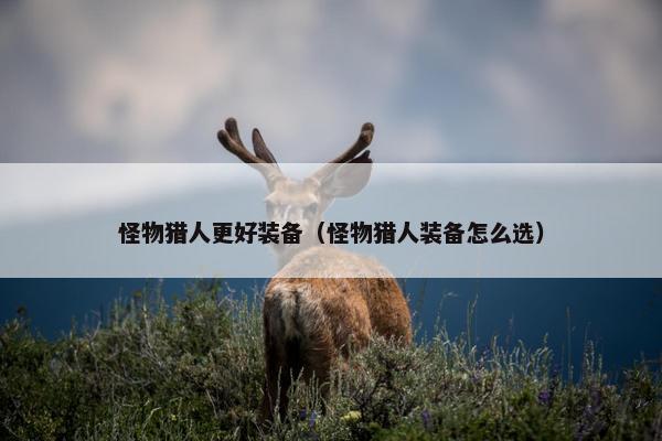 怪物猎人更好装备（怪物猎人装备怎么选）