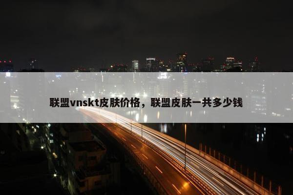 联盟vnskt皮肤价格，联盟皮肤一共多少钱