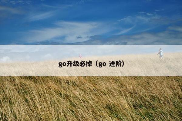 go升级必掉（go 进阶）