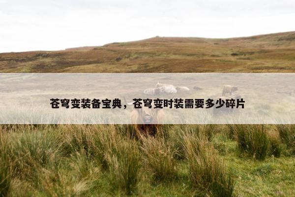 苍穹变装备宝典，苍穹变时装需要多少碎片