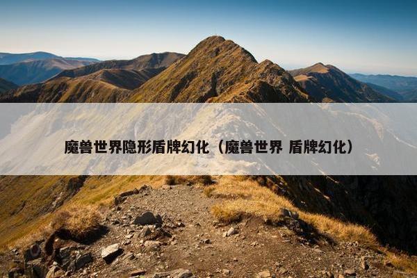魔兽世界隐形盾牌幻化（魔兽世界 盾牌幻化）