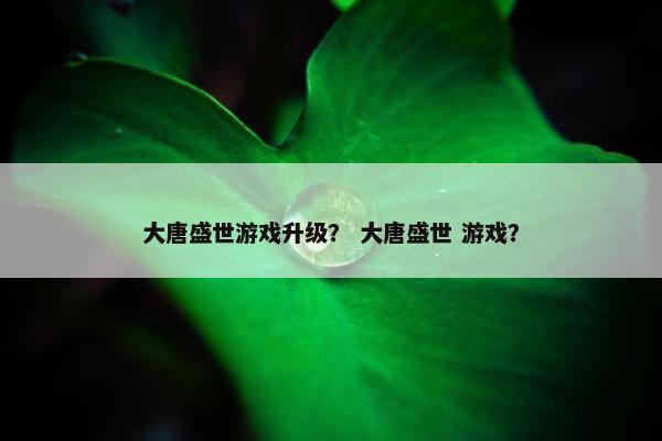大唐盛世游戏升级？ 大唐盛世 游戏？