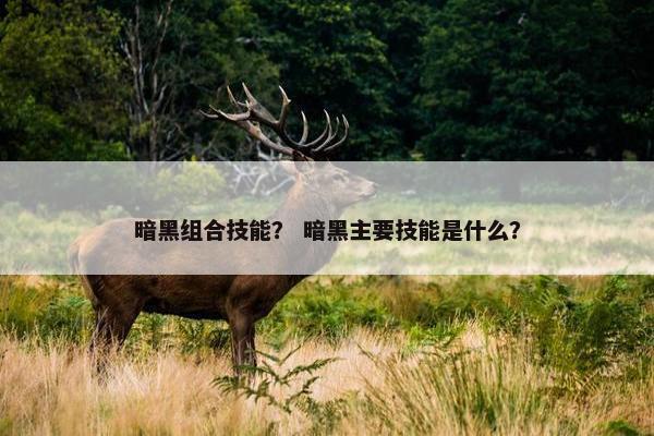 暗黑组合技能？ 暗黑主要技能是什么？