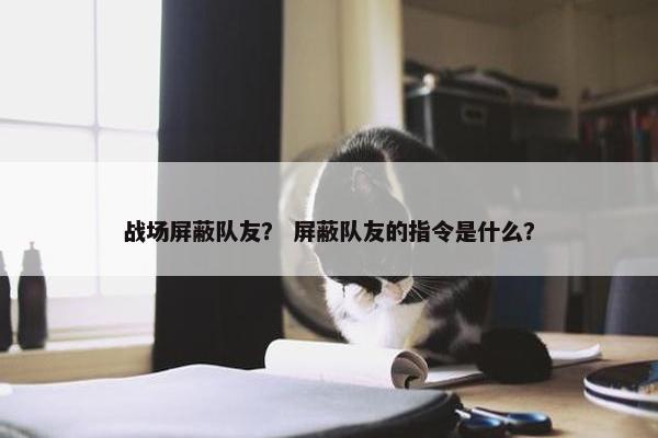 战场屏蔽队友？ 屏蔽队友的指令是什么？