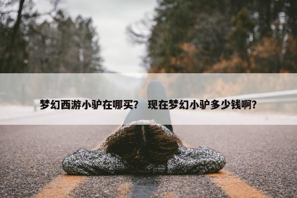 梦幻西游小驴在哪买？ 现在梦幻小驴多少钱啊？