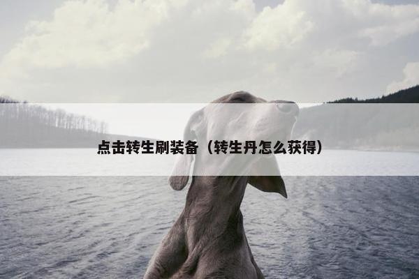 点击转生刷装备（转生丹怎么获得）