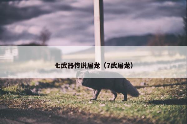 七武器传说屠龙（7武屠龙）