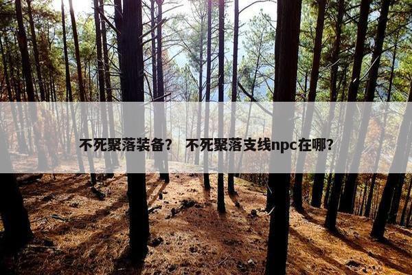不死聚落装备？ 不死聚落支线npc在哪？