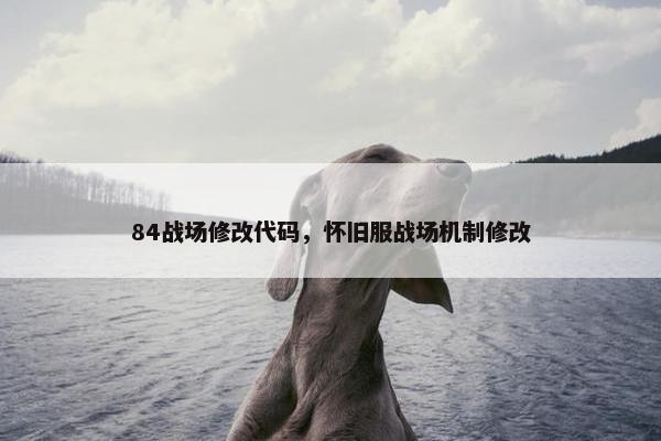 84战场修改代码，怀旧服战场机制修改