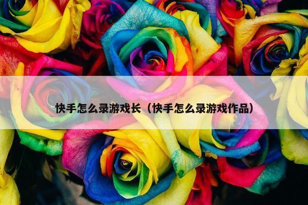 快手怎么录游戏长（快手怎么录游戏作品）