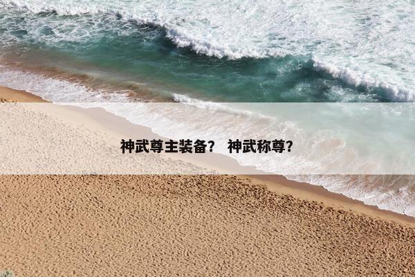 神武尊主装备？ 神武称尊？