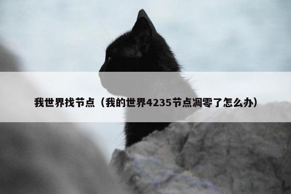 我世界找节点（我的世界4235节点凋零了怎么办）