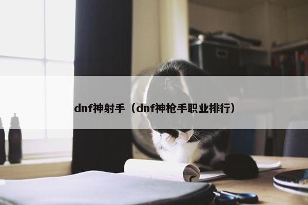 dnf神射手（dnf神枪手职业排行）