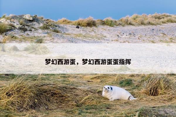 梦幻西游蛋，梦幻西游蛋蛋指挥