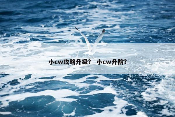 小cw攻略升级？ 小cw升阶？