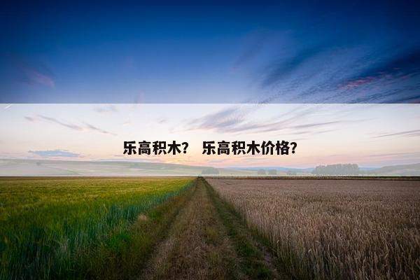 乐高积木？ 乐高积木价格？