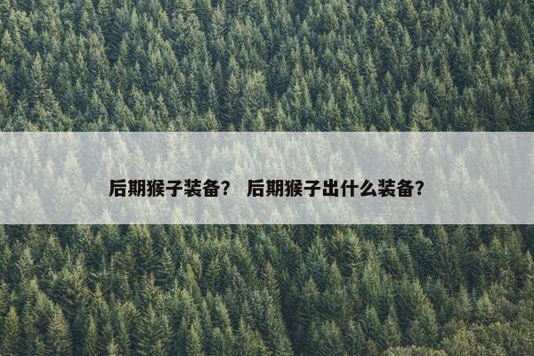 后期猴子装备？ 后期猴子出什么装备？