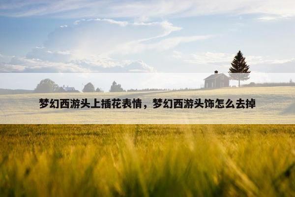 梦幻西游头上插花表情，梦幻西游头饰怎么去掉