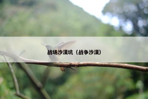 战场沙漠坑（战争沙漠）