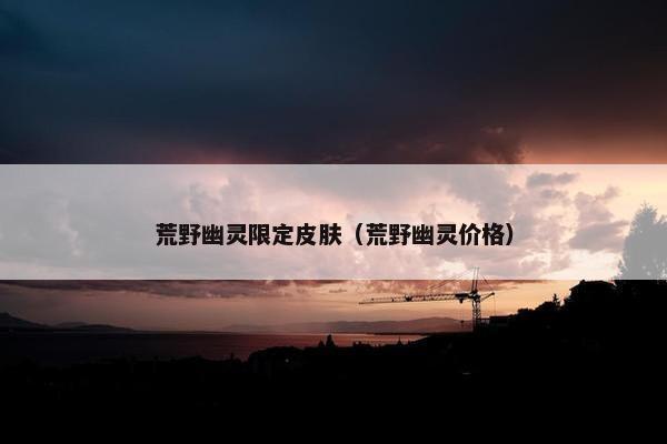 荒野幽灵限定皮肤（荒野幽灵价格）