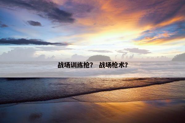 战场训练枪？ 战场枪术？