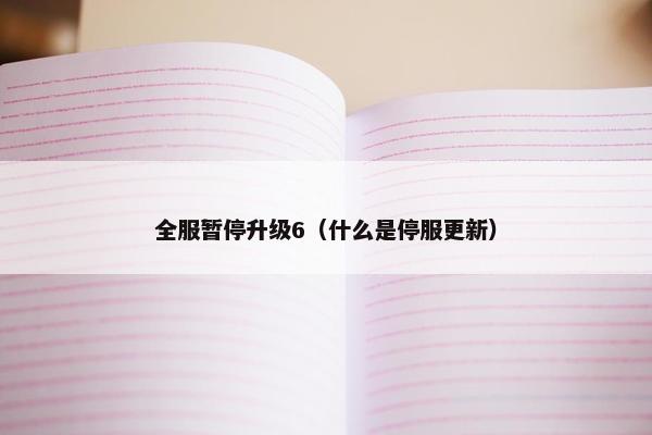 全服暂停升级6（什么是停服更新）