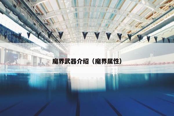 魔界武器介绍（魔界属性）