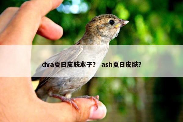 dva夏日皮肤本子？ ash夏日皮肤？