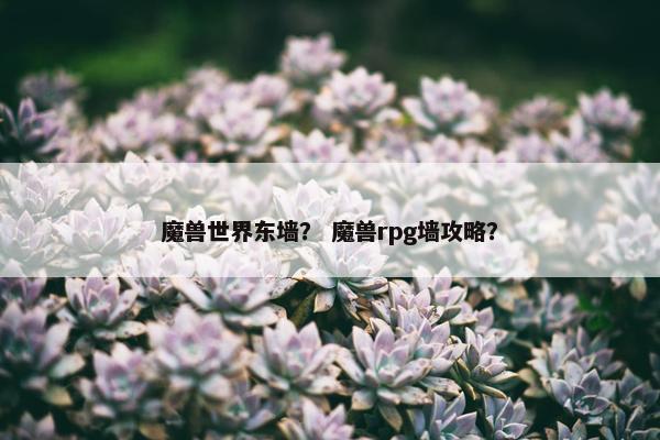 魔兽世界东墙？ 魔兽rpg墙攻略？