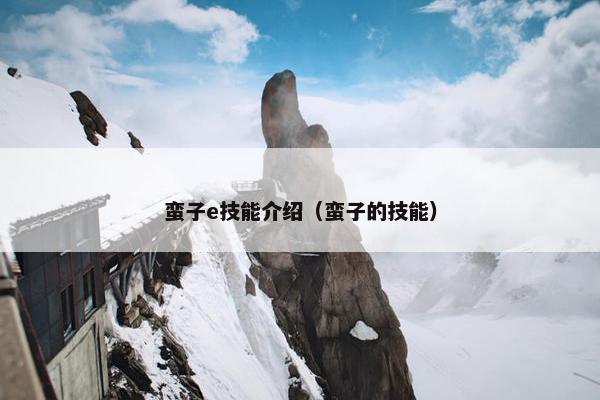 蛮子e技能介绍（蛮子的技能）