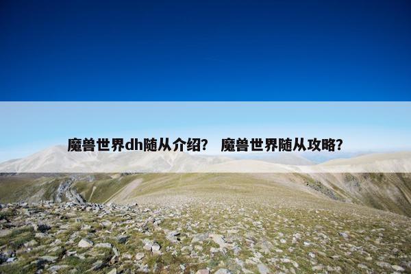 魔兽世界dh随从介绍？ 魔兽世界随从攻略？