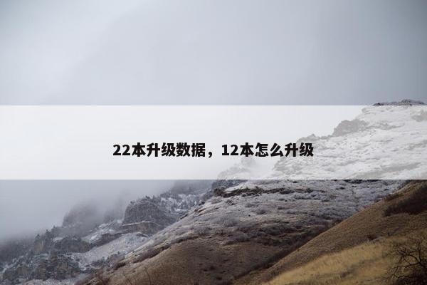 22本升级数据，12本怎么升级