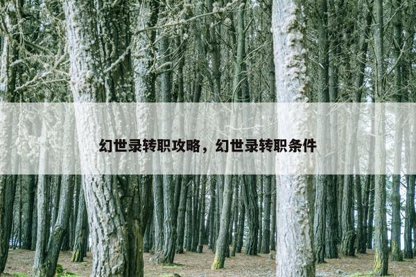 幻世录转职攻略，幻世录转职条件