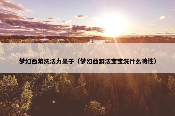 梦幻西游洗法力果子（梦幻西游法宝宝洗什么特性）