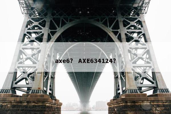 axe6？ AXE634124？